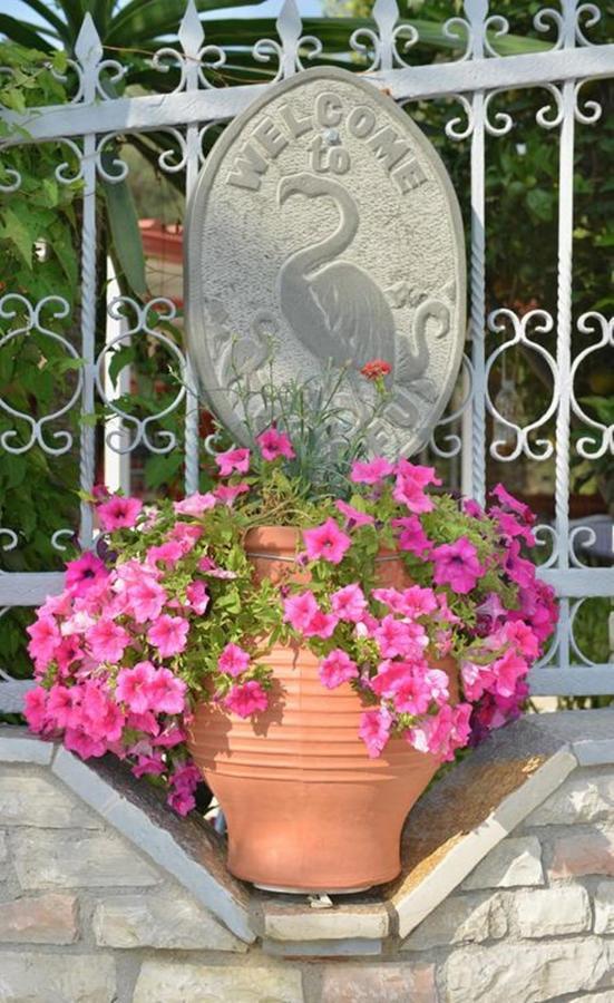 Flamingo Apartments Moraitika Corfu 外观 照片