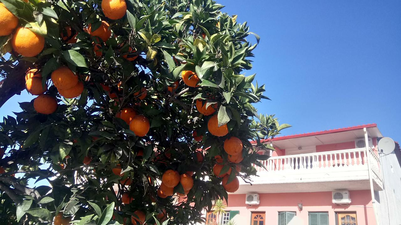 Flamingo Apartments Moraitika Corfu 外观 照片